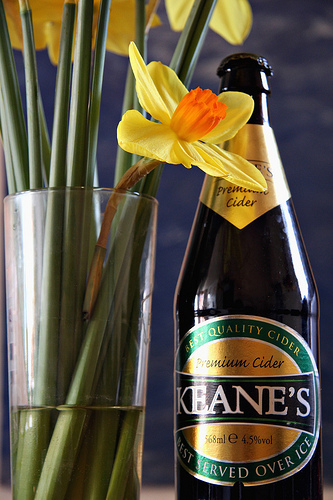 Keane's Premium Cider Bottle with Daffs