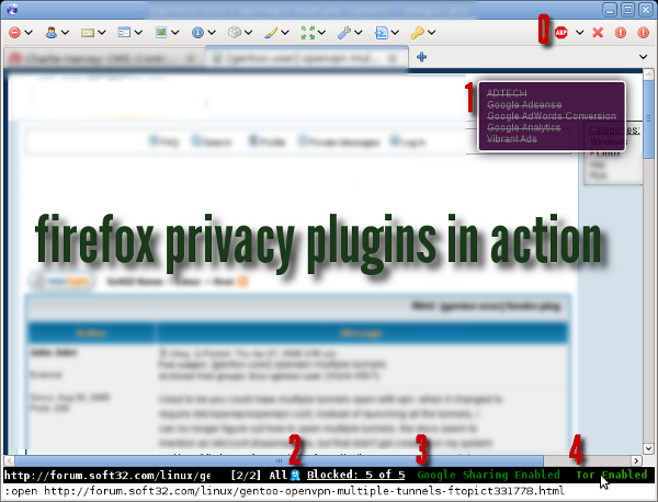 Screenshot: various firefox anonymity and privacy plugins in use