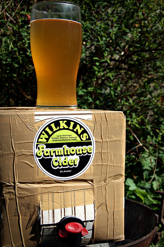 Wilkins Farmhouse Cider In A Big Box
